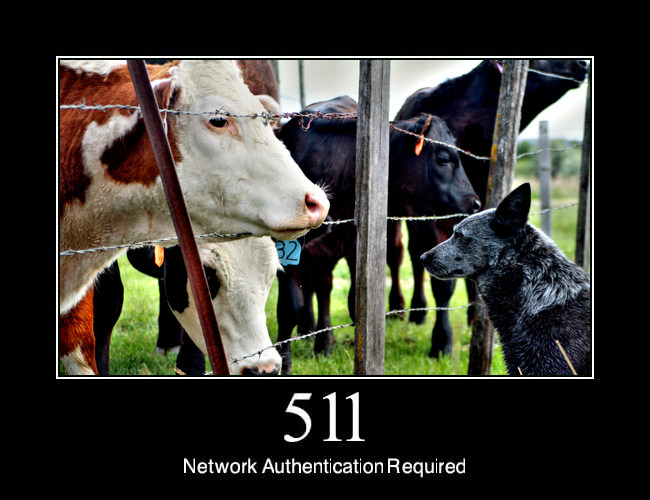 511 Network Authentication Required